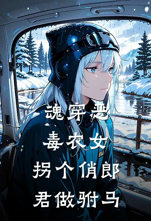 魂穿恶毒农女，拐个俏郎君做驸马